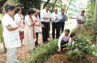 All India Institute of Physical Medicine and Rehabilitation Mumbai Plantation day photo 3